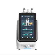 Meso Portable Microneedling Rf  (Double Handle)